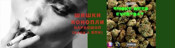 ГАЛЛЮЦИНОГЕННЫЕ ГРИБЫ Бронницы