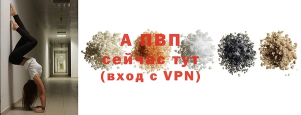 крисы Володарск