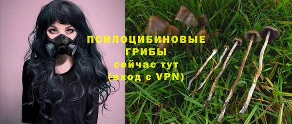 МДМА Бородино