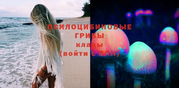 МДМА Бородино