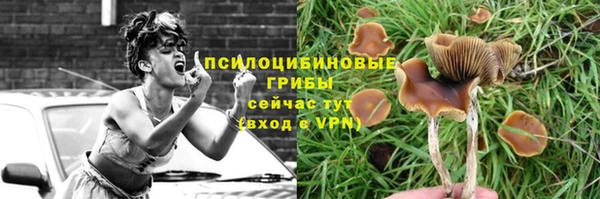 ГАЛЛЮЦИНОГЕННЫЕ ГРИБЫ Бронницы