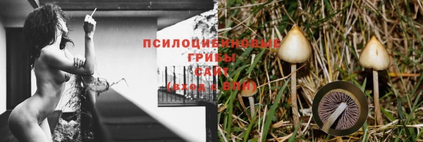 ГАЛЛЮЦИНОГЕННЫЕ ГРИБЫ Бронницы
