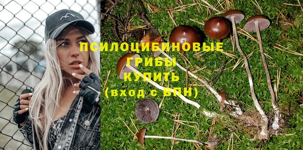 ГАЛЛЮЦИНОГЕННЫЕ ГРИБЫ Бронницы