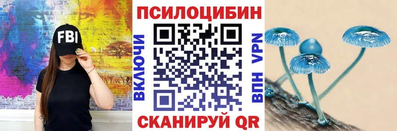 Купить закладки  Михайловск  Псилоцибиновые грибы мухоморы 